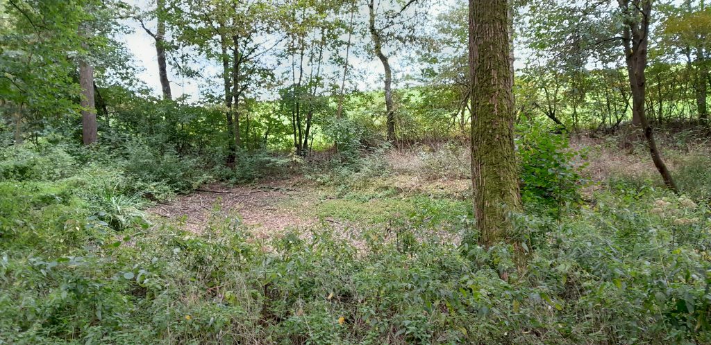 Heute vor 40 Jahren – Bachputzete am Heiligenbach 1985